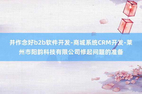 并作念好b2b软件开发-商城系统CRM开发-莱州市阳韵科技有限公司修起问题的准备